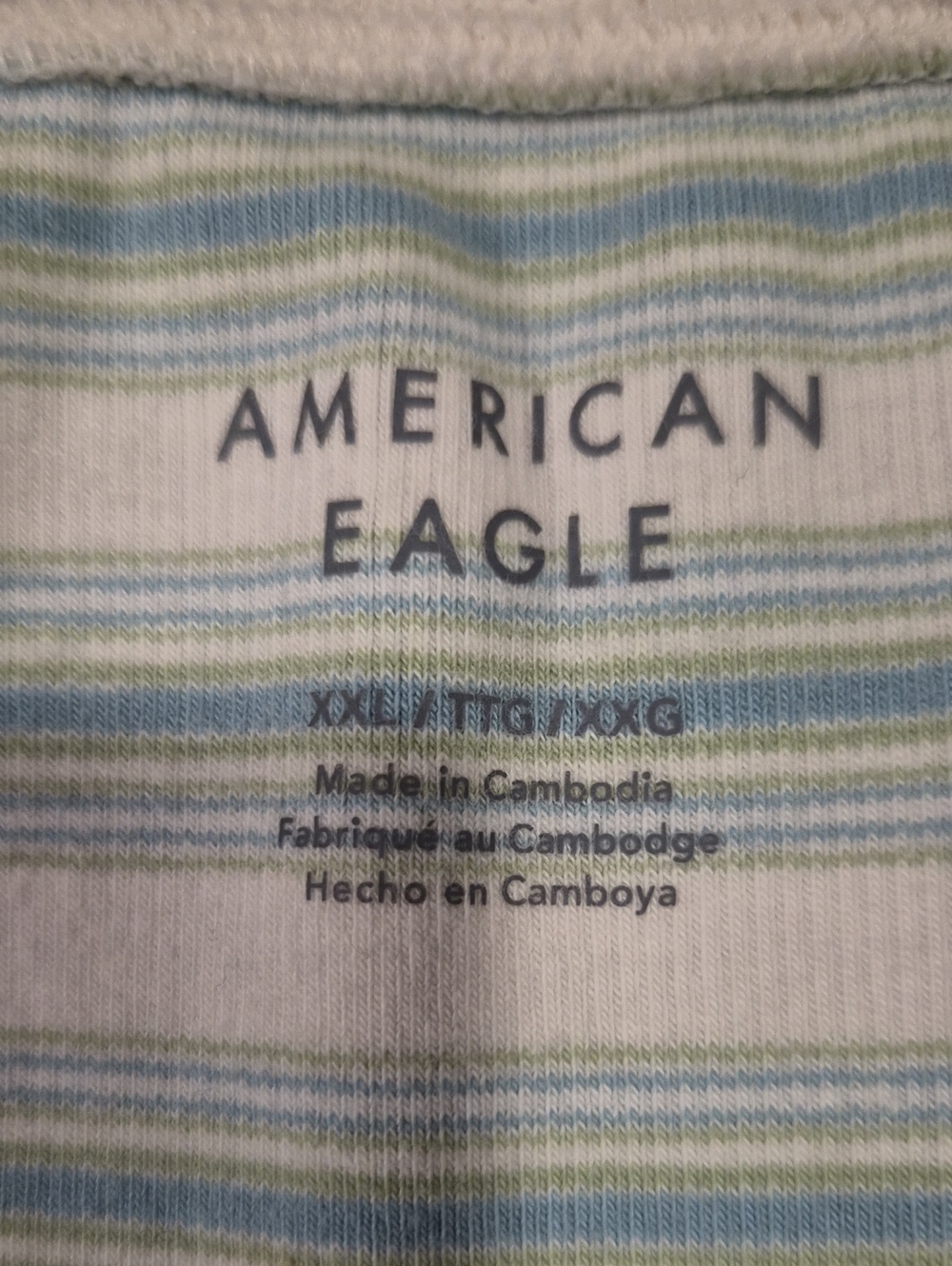 American Eagle Outfitters Blue and Light Green Striped Tank Top